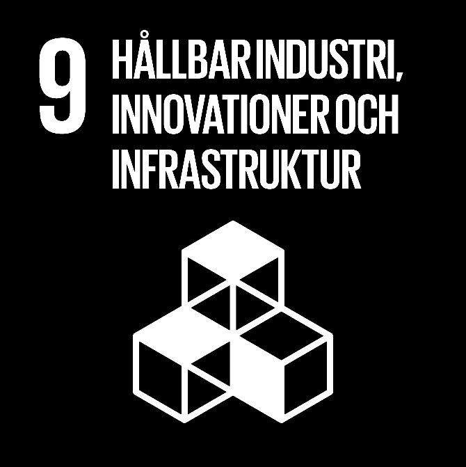 FN:s 17 globala hållbarhetsmål: 9 Hållbar industri, innovationer och infrastruktur