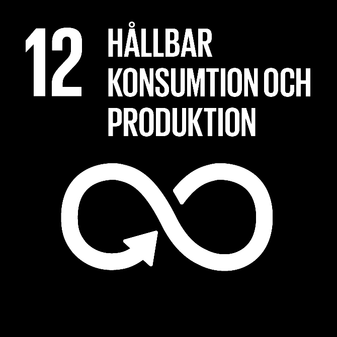FN:s 17 globala hållbarhetsmål: 12 Hållbar konsumtion och produktion