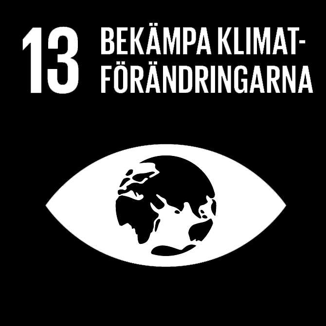 FN:s 17 globala hållbarhetsmål: 13 Bekämpa klimatförändringen