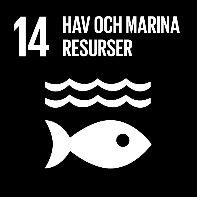 FN:s 17 globala hållbarhetsmål: 14 Hav och marina resurser