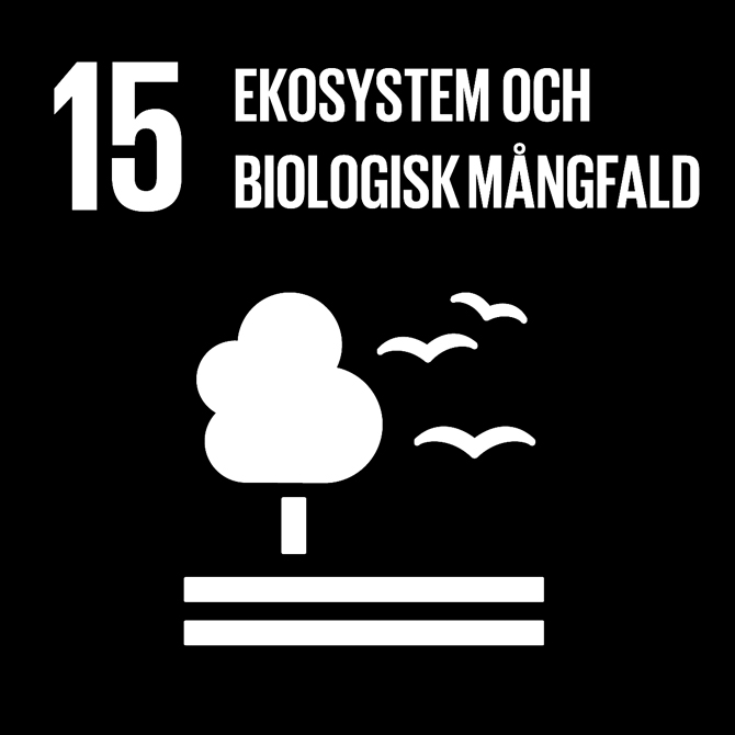 FN:s 17 globala hållbarhetsmål: 15 Ekosystem och biologisk mångfald