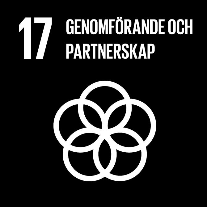 FN:s 17 globala hållbarhetsmål: 17 Genomförande och globalt partnerskap